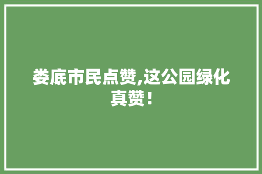 娄底市民点赞,这公园绿化真赞！