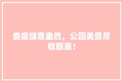 娄底绿意盎然，公园美景尽收眼底！