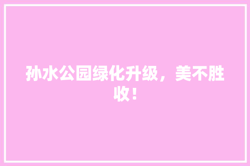孙水公园绿化升级，美不胜收！