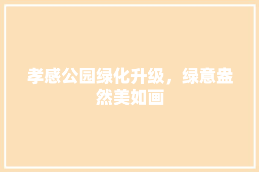 孝感公园绿化升级，绿意盎然美如画