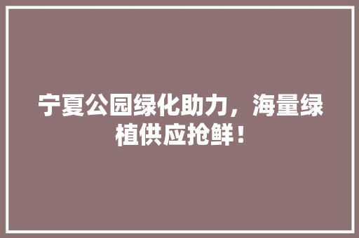 宁夏公园绿化助力，海量绿植供应抢鲜！