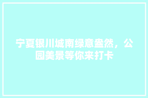 宁夏银川城南绿意盎然，公园美景等你来打卡