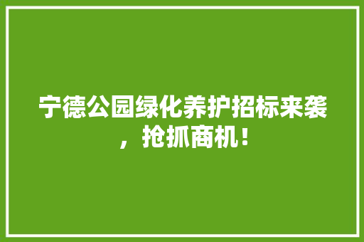 宁德公园绿化养护招标来袭，抢抓商机！