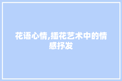 花语心情,插花艺术中的情感抒发