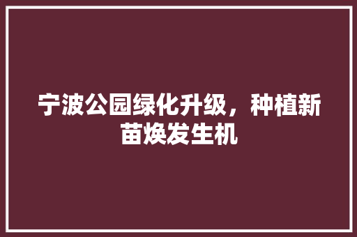 宁波公园绿化升级，种植新苗焕发生机