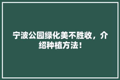 宁波公园绿化美不胜收，介绍种植方法！