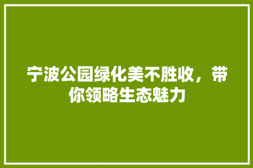 宁波公园绿化美不胜收，带你领略生态魅力