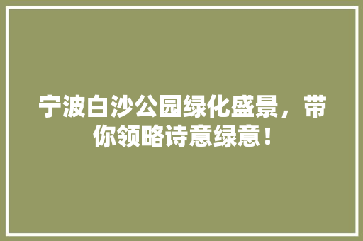 宁波白沙公园绿化盛景，带你领略诗意绿意！