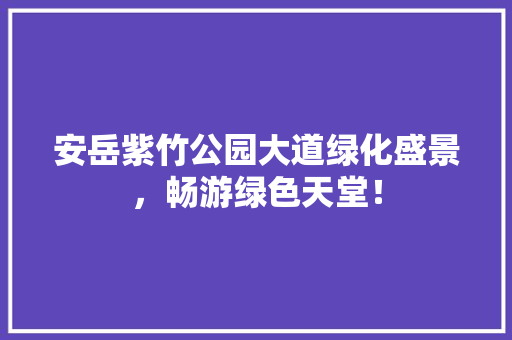 安岳紫竹公园大道绿化盛景，畅游绿色天堂！