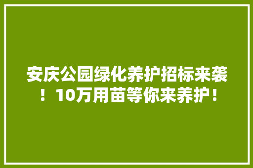 安庆公园绿化养护招标来袭！10万用苗等你来养护！