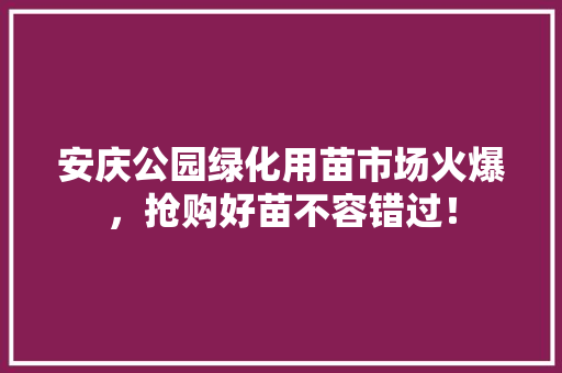 安庆公园绿化用苗市场火爆，抢购好苗不容错过！