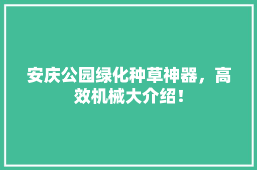 安庆公园绿化种草神器，高效机械大介绍！