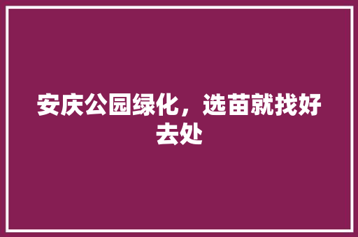安庆公园绿化，选苗就找好去处