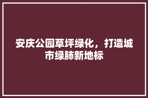 安庆公园草坪绿化，打造城市绿肺新地标