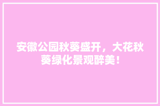安徽公园秋葵盛开，大花秋葵绿化景观醉美！