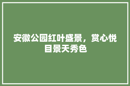 安徽公园红叶盛景，赏心悦目景天秀色