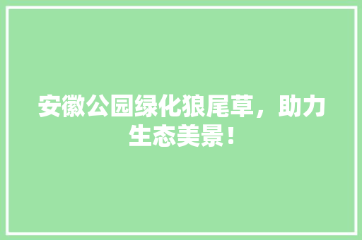 安徽公园绿化狼尾草，助力生态美景！