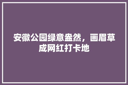 安徽公园绿意盎然，画眉草成网红打卡地