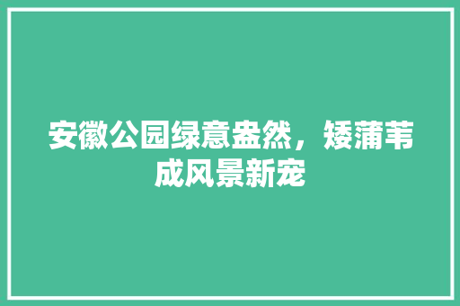 安徽公园绿意盎然，矮蒲苇成风景新宠