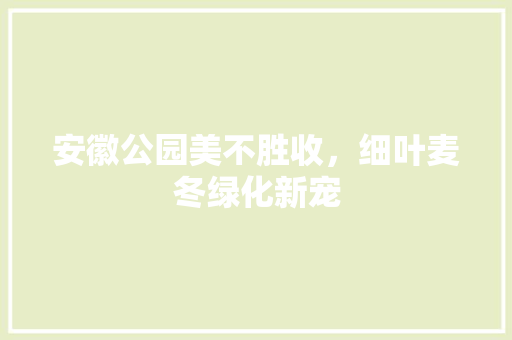 安徽公园美不胜收，细叶麦冬绿化新宠
