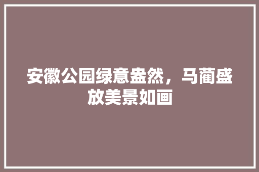 安徽公园绿意盎然，马蔺盛放美景如画