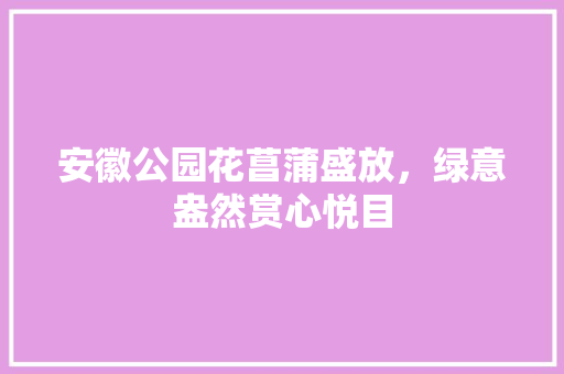 安徽公园花菖蒲盛放，绿意盎然赏心悦目