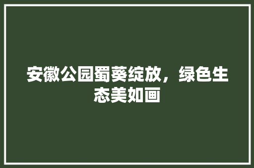 安徽公园蜀葵绽放，绿色生态美如画