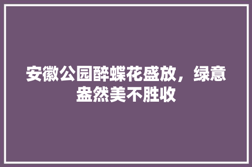 安徽公园醉蝶花盛放，绿意盎然美不胜收