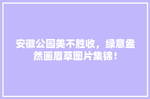 安徽公园美不胜收，绿意盎然画眉草图片集锦！