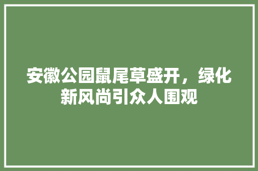 安徽公园鼠尾草盛开，绿化新风尚引众人围观