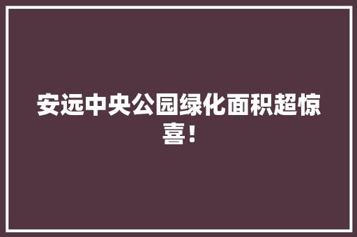 安远中央公园绿化面积超惊喜！