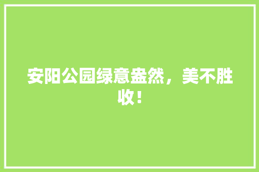 安阳公园绿意盎然，美不胜收！