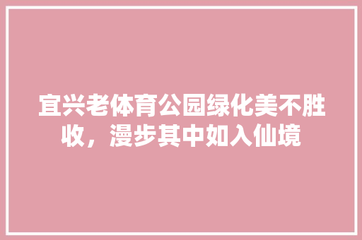 宜兴老体育公园绿化美不胜收，漫步其中如入仙境