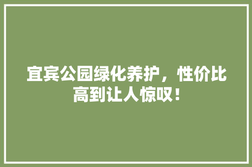 宜宾公园绿化养护，性价比高到让人惊叹！
