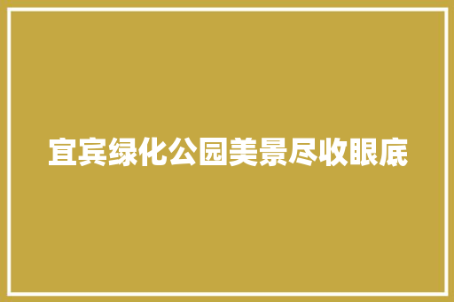 宜宾绿化公园美景尽收眼底