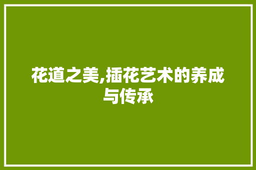 花道之美,插花艺术的养成与传承 无土育苗