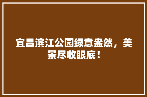 宜昌滨江公园绿意盎然，美景尽收眼底！