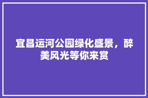 宜昌运河公园绿化盛景，醉美风光等你来赏