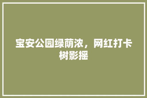 宝安公园绿荫浓，网红打卡树影摇