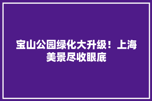 宝山公园绿化大升级！上海美景尽收眼底