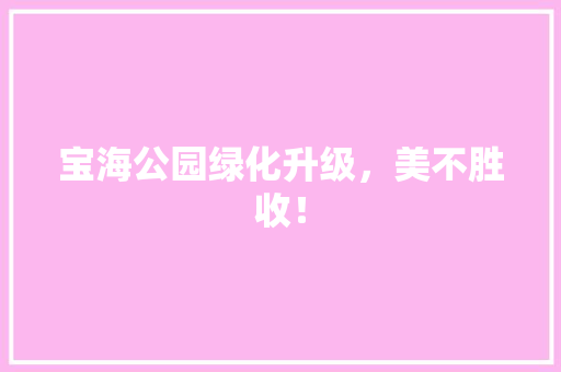 宝海公园绿化升级，美不胜收！