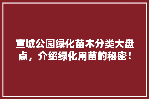 宣城公园绿化苗木分类大盘点，介绍绿化用苗的秘密！