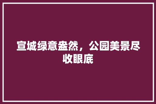 宣城绿意盎然，公园美景尽收眼底
