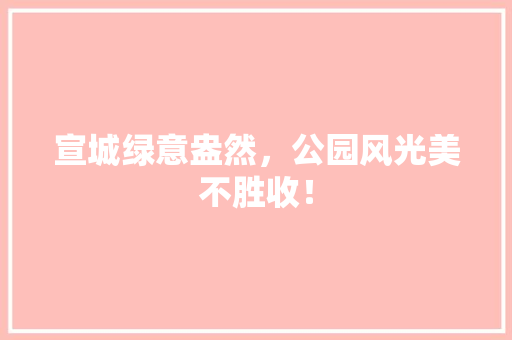 宣城绿意盎然，公园风光美不胜收！