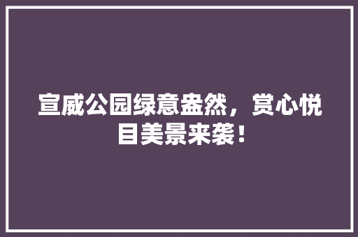 宣威公园绿意盎然，赏心悦目美景来袭！