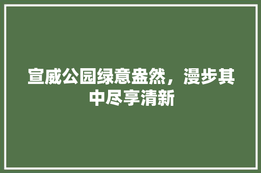 宣威公园绿意盎然，漫步其中尽享清新