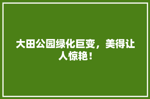 大田公园绿化巨变，美得让人惊艳！