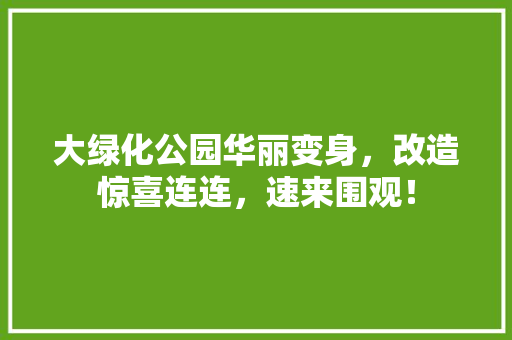 大绿化公园华丽变身，改造惊喜连连，速来围观！