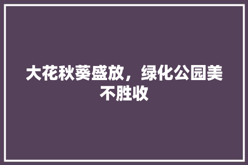 大花秋葵盛放，绿化公园美不胜收
