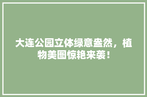 大连公园立体绿意盎然，植物美图惊艳来袭！